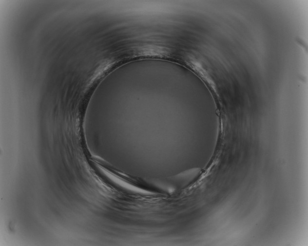 X0000097780249200803141814