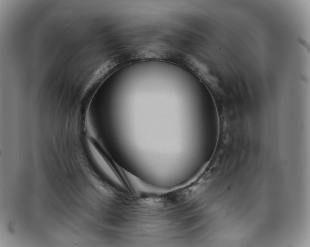 X0000097780250200803141814