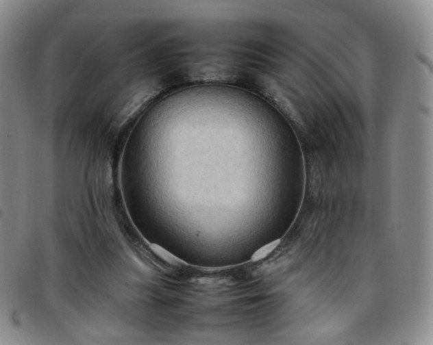 X0000097780251200803141814