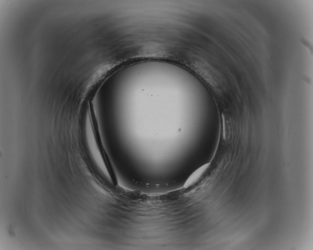 X0000097780252200803141814