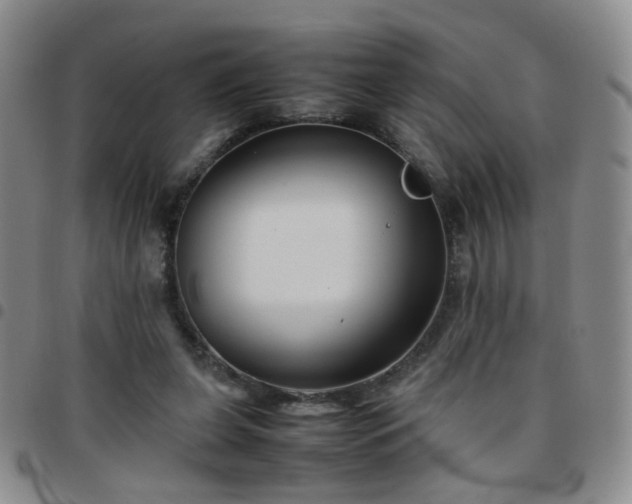 X0000097780255200803141814