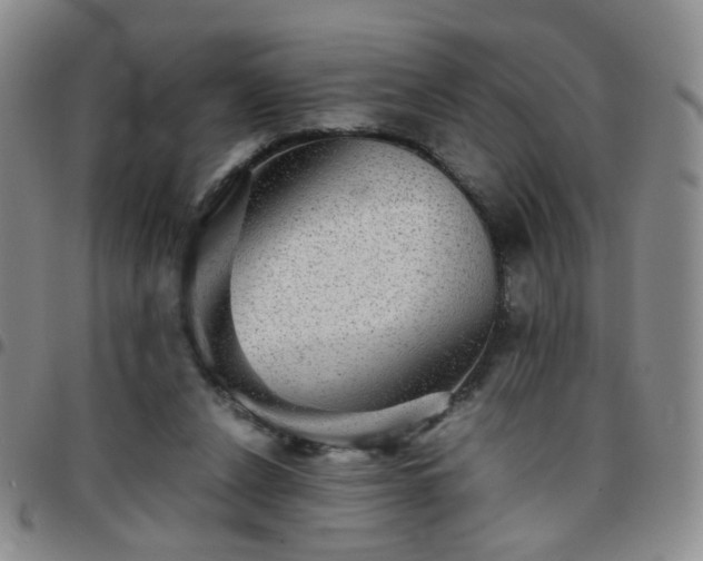 X0000097780256200803141814