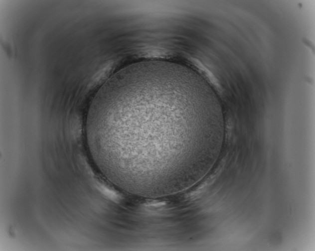 X0000097780257200803141814