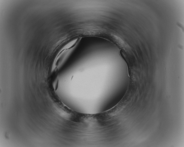 X0000097780258200803141814