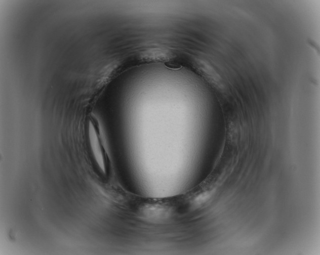 X0000097780259200803141814