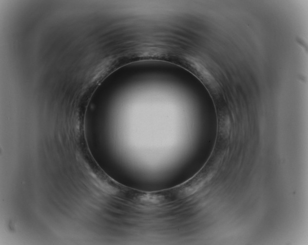 X0000097780261200803141814