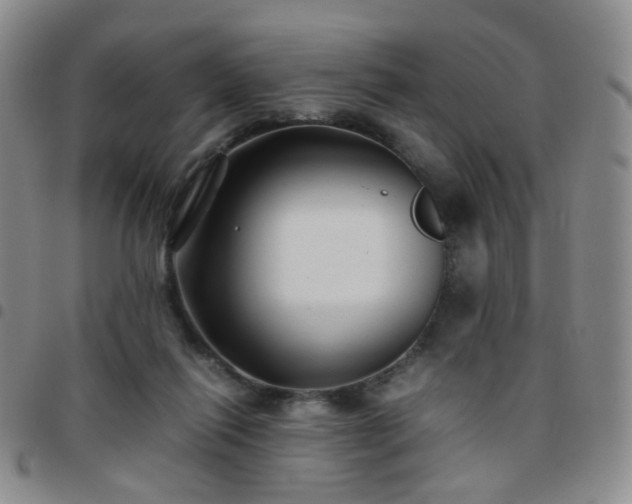 X0000097780262200803141814