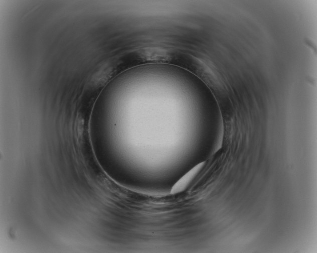 X0000097780263200803141814