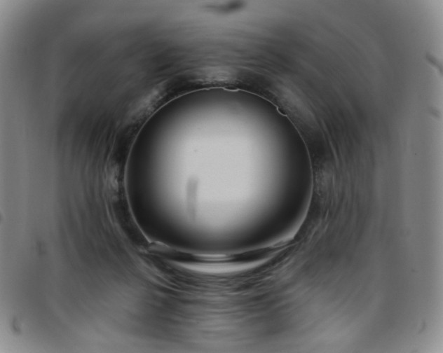 X0000097780264200803141814