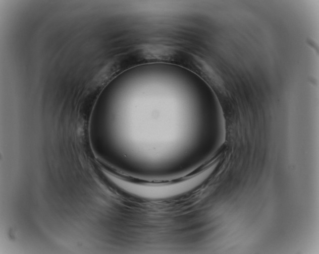 X0000097780265200803141814