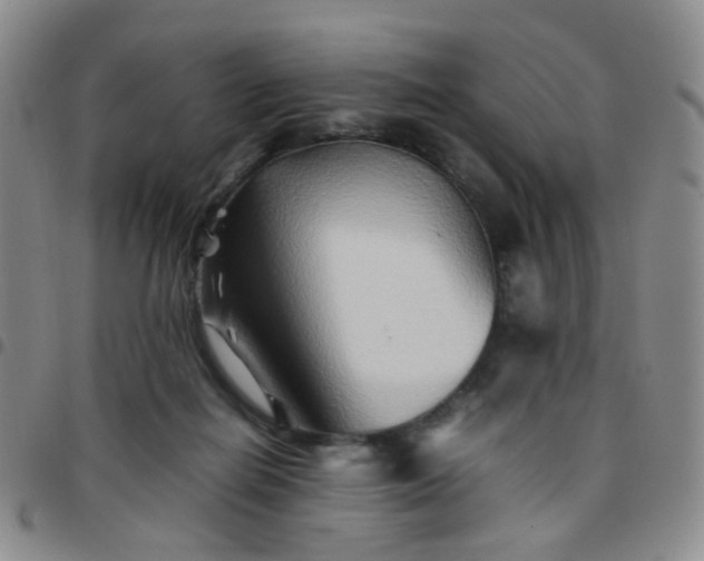 X0000097780266200803141814