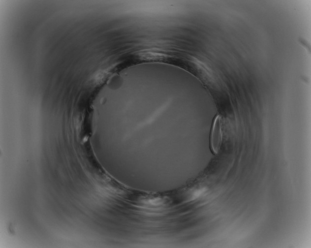 X0000097780267200803141814