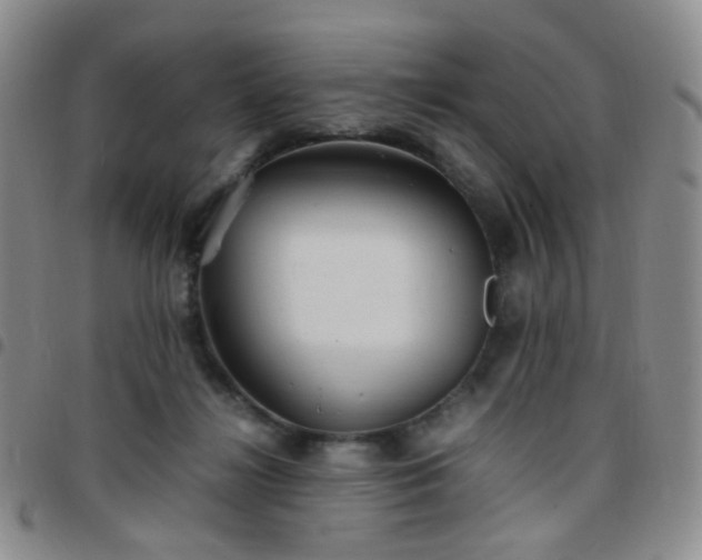 X0000097780268200803141814