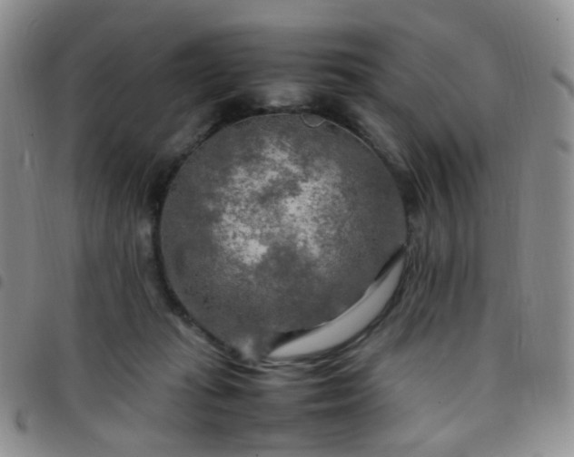 X0000097780269200803141814