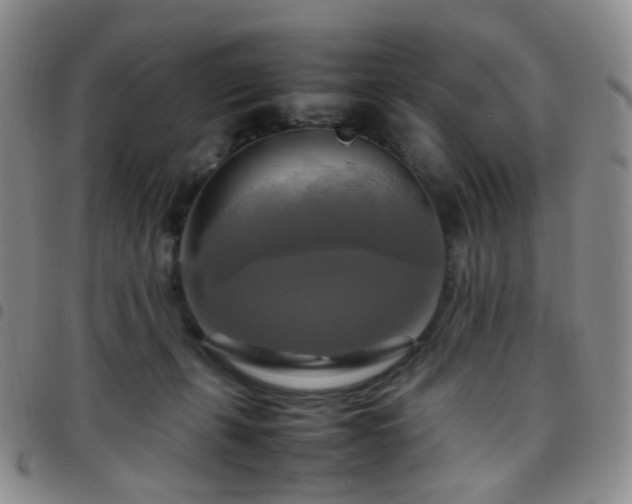 X0000097780271200803141814