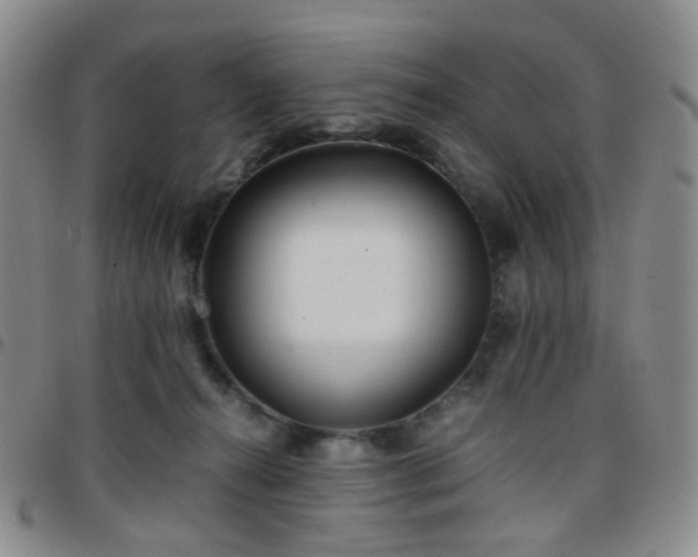 X0000097780272200803141814