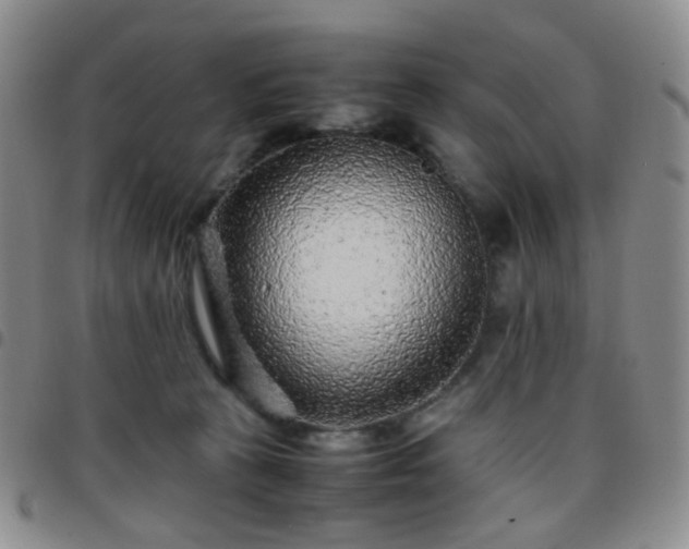 X0000097780273200803141814