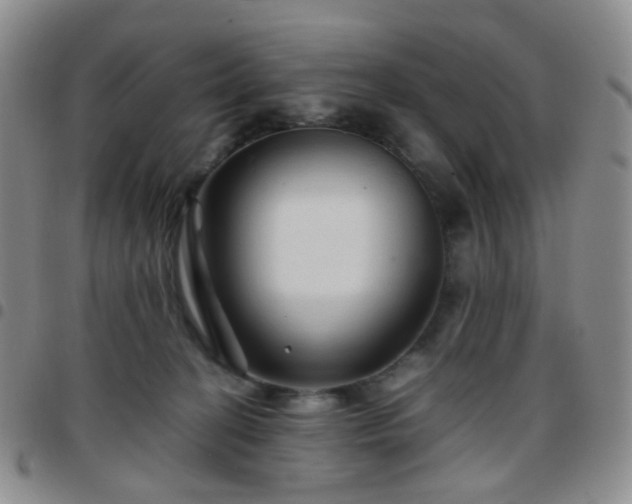 X0000097780274200803141814