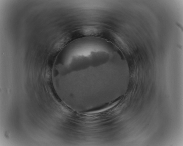 X0000097780277200803141814