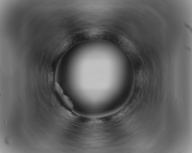 X0000097780278200803141814