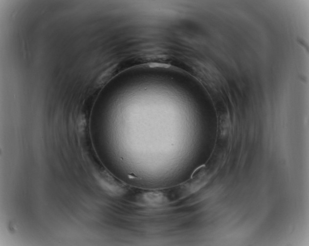 X0000097780279200803141814