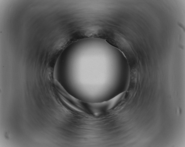 X0000097780280200803141814