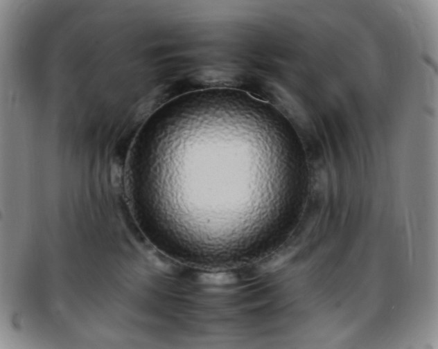 X0000097780281200803141814