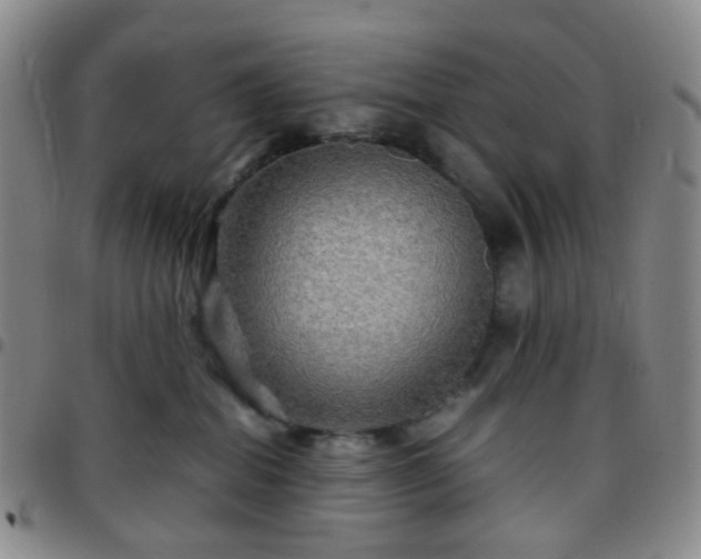 X0000097780282200803141814