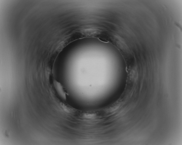 X0000097780283200803141814