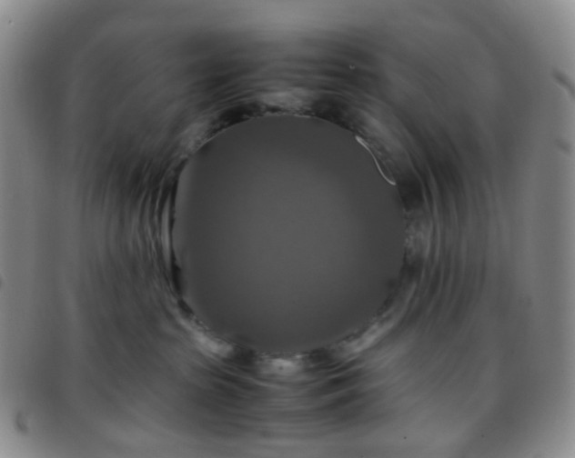 X0000097780285200803141814