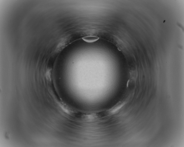 X0000097780286200803141814