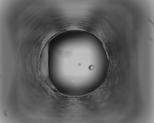 X0000097780289200803141814