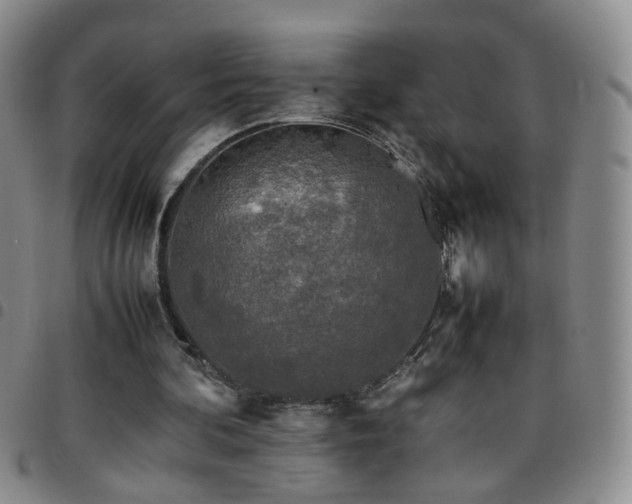 X0000097780292200803141814