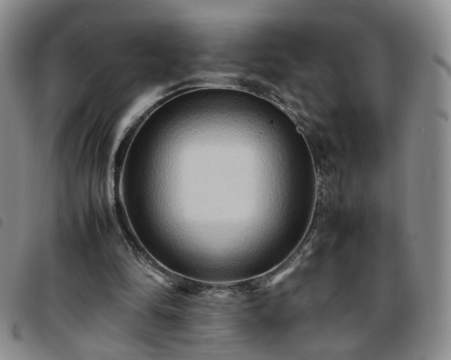 X0000097780294200803141813