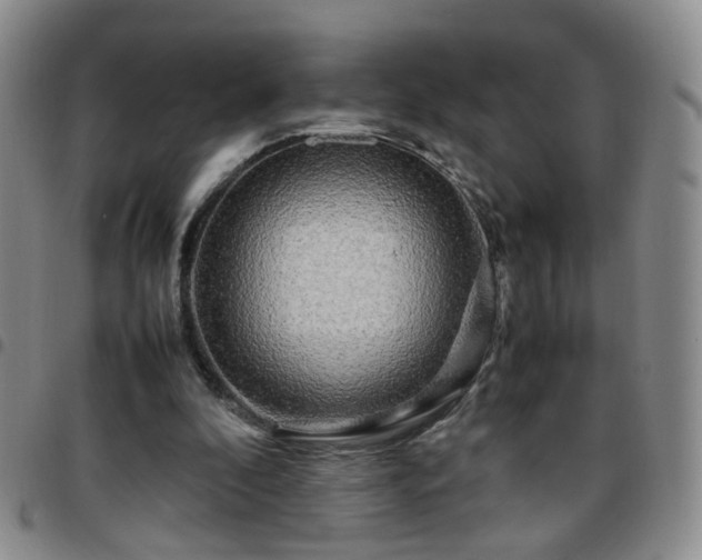 X0000097780296200803141813