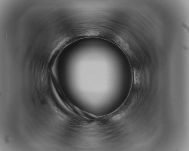 X0000097780300200803141813