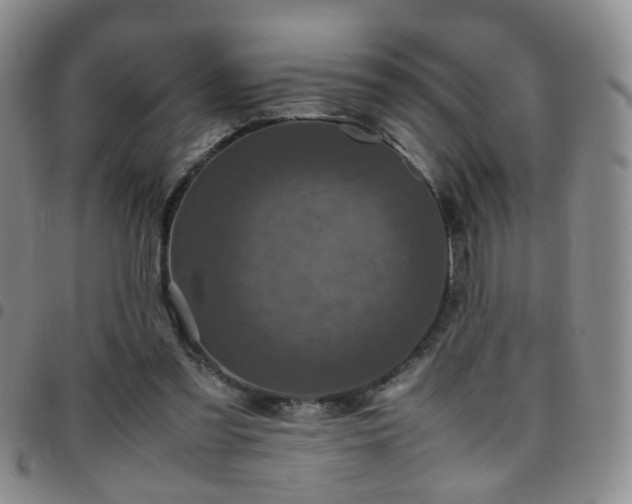 X0000097780301200803141813