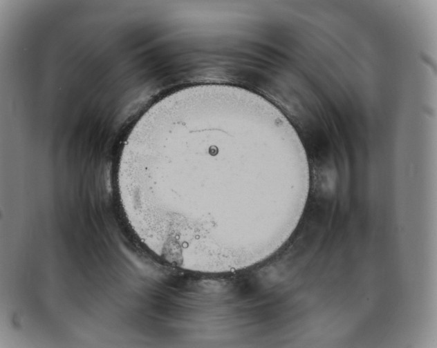 X0000097780302200803141813