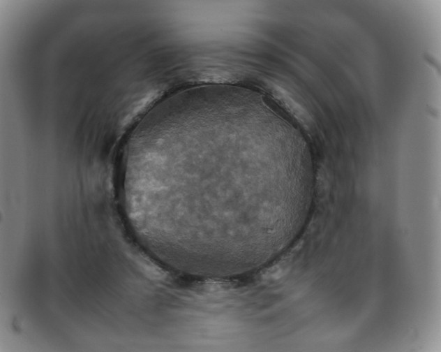 X0000097780305200803141813