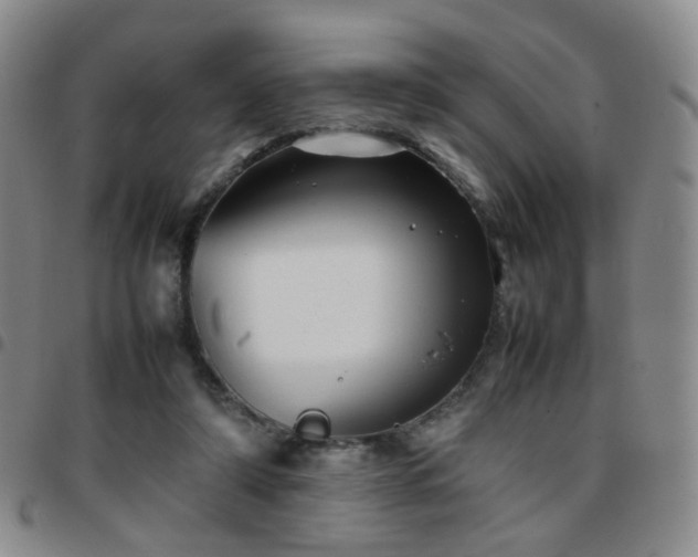 X0000097780306200803141813