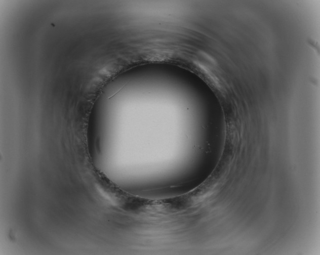 X0000097780307200803141813