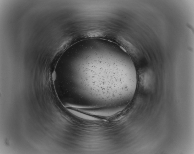 X0000097780308200803141813