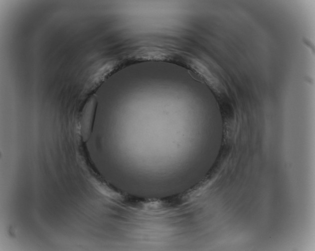 X0000097780309200803141813