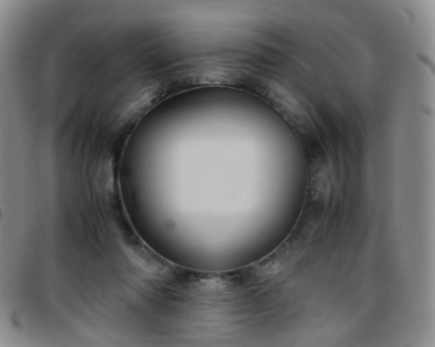 X0000097780310200803141813