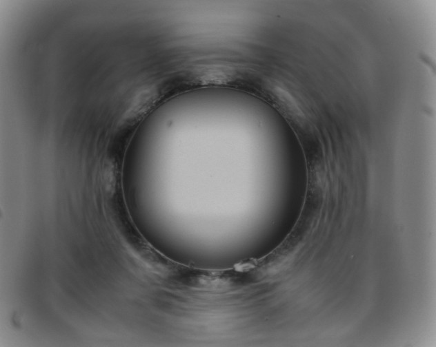 X0000097780311200803141813