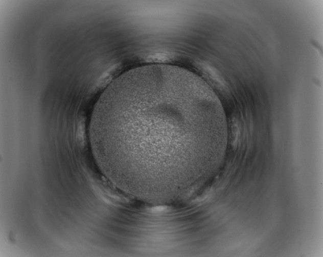 X0000097780312200803141813