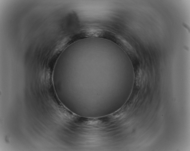 X0000097780314200803141813