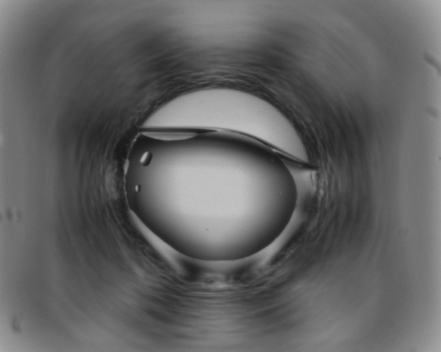 X0000097780316200803141813