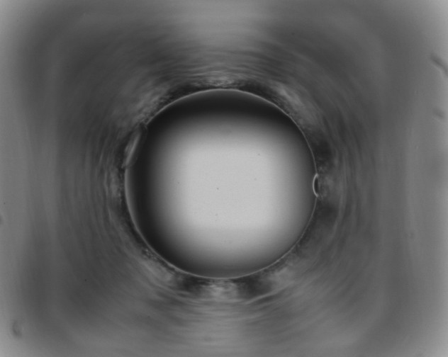 X0000097780317200803141813