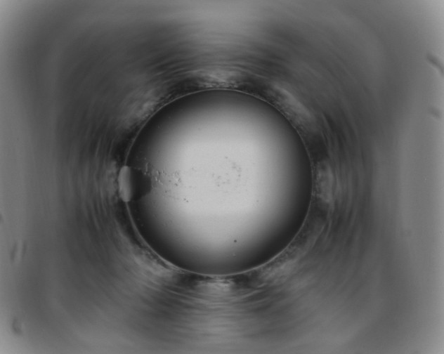 X0000097780318200803141813